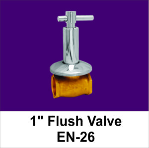 1 Flush Valve