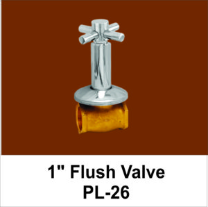 FLush Valve 1